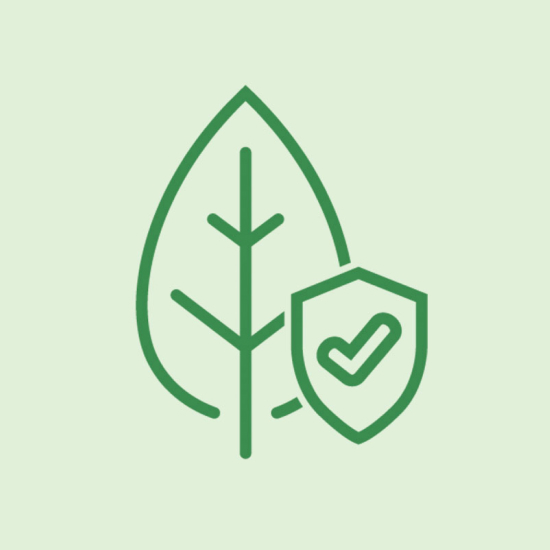Toxic-Free Living